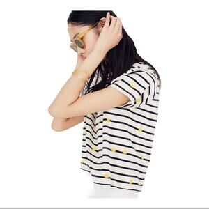 Madewell Embroidered Sun Setlist Boxy Striped Crop Top